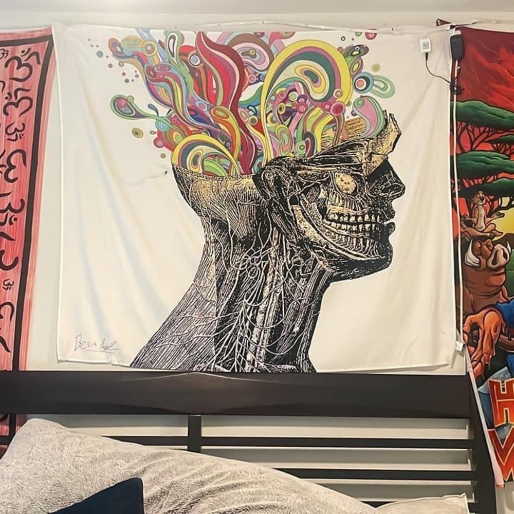 Tapestries - Picture 3 of 3